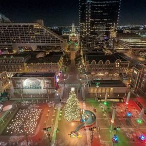 Meet your Posher, Lucy